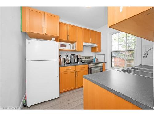 117 Fairleigh Avenue S, Hamilton, ON - Indoor Photo Showing Kitchen With Double Sink