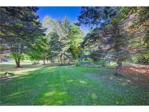 550 Silver Street, Mount Forest, ON - Outdoor