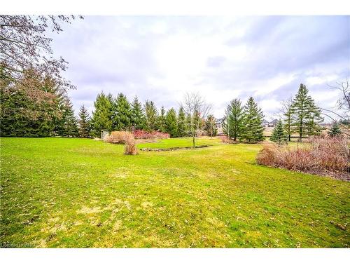 218 Woolwich Street, Kitchener, ON - Outdoor With View