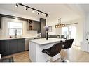 46 Dahlia Street, Kitchener, ON  - Indoor Photo Showing Kitchen With Upgraded Kitchen 