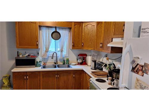 411 Victoria Street S, Kitchener, ON - Indoor Photo Showing Kitchen With Double Sink