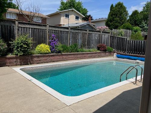 208 Holborn Drive, Kitchener, ON - Outdoor With In Ground Pool With Backyard