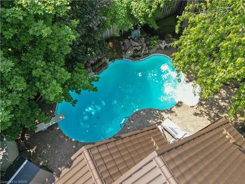 595 Leighland Drive, Waterloo, ON - Outdoor With In Ground Pool