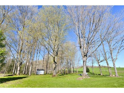 634120 Artemesia-Glenelg Townline, West Grey, ON - Outdoor With View
