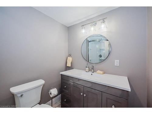 Basement-91 Ptarmigan Drive, Guelph, ON - Indoor Photo Showing Bathroom