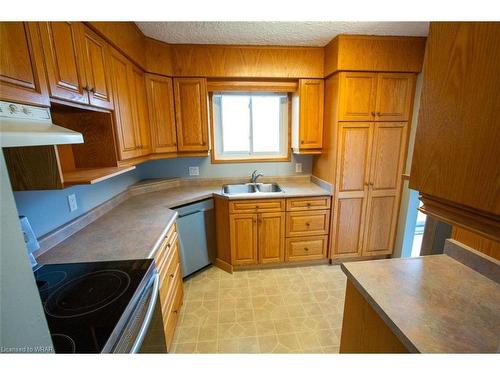 42 Daniel Avenue, Kitchener, ON - Indoor Photo Showing Kitchen With Double Sink