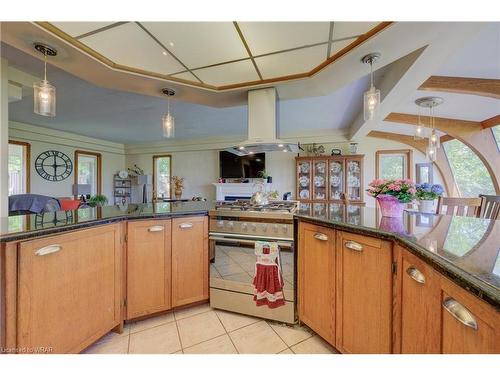 15 Woolwich Street, Kitchener, ON - Indoor Photo Showing Kitchen