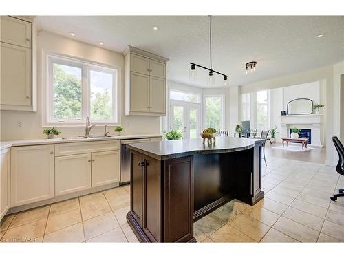 320 Sims Estate Drive, Kitchener, ON - Indoor Photo Showing Kitchen With Double Sink