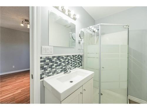 Lower-177 Weber Street E, Kitchener, ON - Indoor Photo Showing Bathroom
