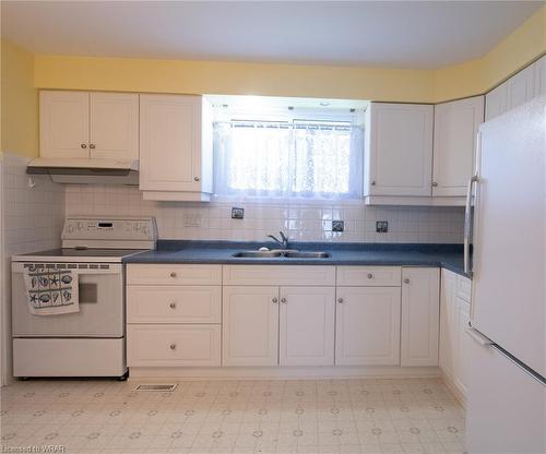 107 Glenroy Crescent, London, ON - Indoor Photo Showing Kitchen With Double Sink