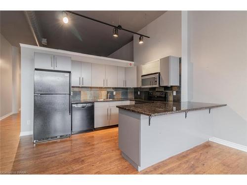 201-276 King Street W, Kitchener, ON - Indoor Photo Showing Kitchen