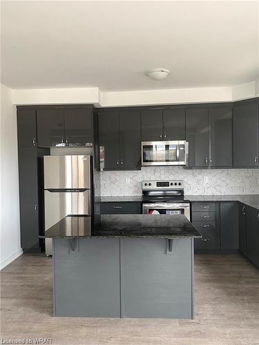 2 Saxony Street, Kitchener, ON - Indoor Photo Showing Kitchen With Double Sink With Upgraded Kitchen