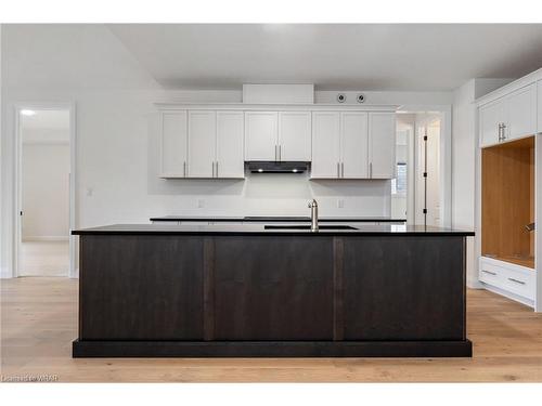 234 Mount Pleasant Street, Brantford, ON - Indoor Photo Showing Kitchen