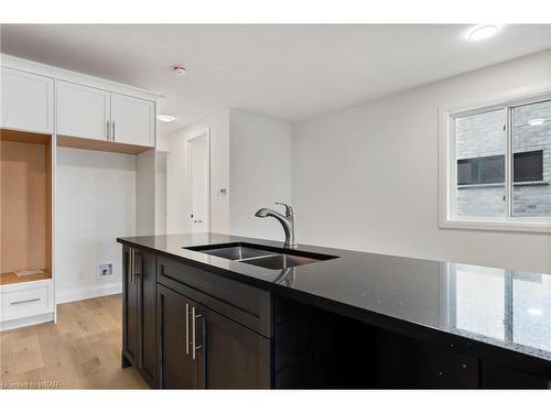 234 Mount Pleasant Street, Brantford, ON - Indoor Photo Showing Kitchen With Double Sink