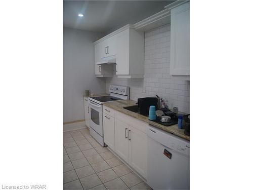 173 Louisa Street, Kitchener, ON - Indoor Photo Showing Kitchen