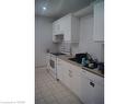 173 Louisa Street, Kitchener, ON  - Indoor Photo Showing Kitchen 