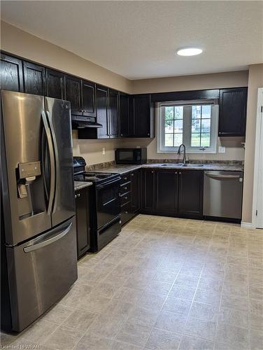 15C-1941 Ottawa Street S, Kitchener, ON - Indoor Photo Showing Kitchen With Double Sink