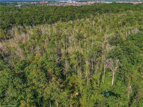 7 Squire Court, Waterloo, ON - Outdoor With View