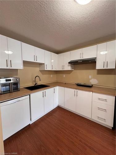 Lower-A-227 Inverhuron Crescent, Waterloo, ON - Indoor Photo Showing Kitchen