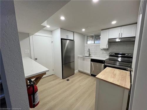 Lower-171 Kinzie Avenue, Kitchener, ON - Indoor Photo Showing Kitchen