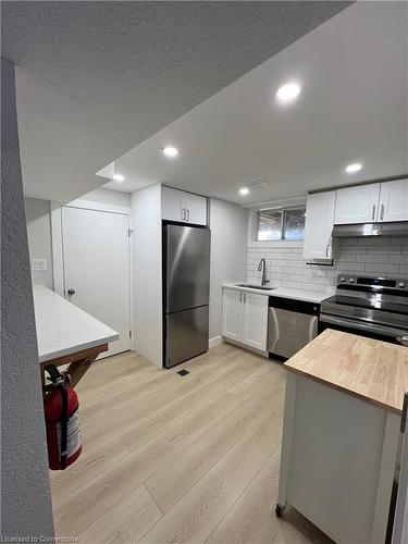 Lower-171 Kinzie Avenue, Kitchener, ON - Indoor Photo Showing Kitchen