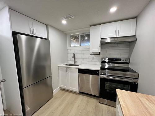 Lower-171 Kinzie Avenue, Kitchener, ON - Indoor Photo Showing Kitchen