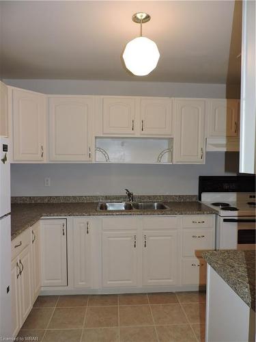 108-1100 Courtland Avenue E, Kitchener, ON - Indoor Photo Showing Kitchen With Double Sink