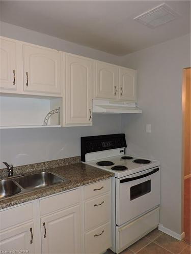 108-1100 Courtland Avenue E, Kitchener, ON - Indoor Photo Showing Kitchen With Double Sink