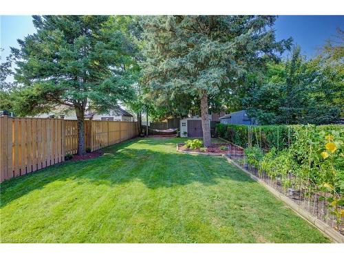 11 Cecile Drive, Kitchener, ON - Outdoor With Backyard