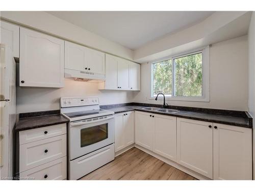 3-445 Pioneer Drive, Kitchener, ON - Indoor Photo Showing Kitchen With Double Sink