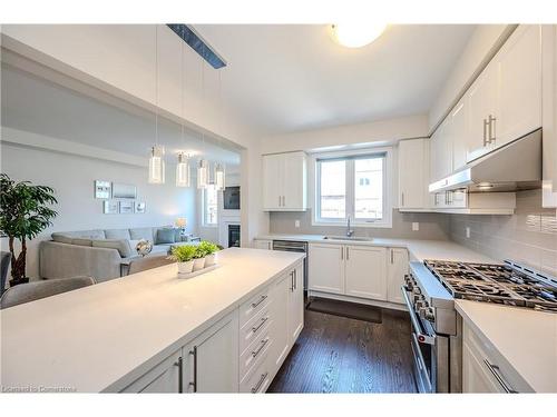 121 Haldimand Street, Kitchener, ON - Indoor Photo Showing Kitchen With Upgraded Kitchen