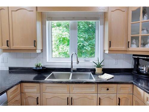 29 Hampton Court, St. George, ON - Indoor Photo Showing Kitchen With Double Sink