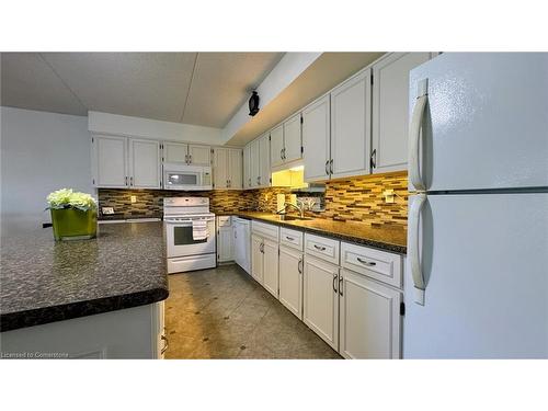 202-384 Erb Street W, Waterloo, ON - Indoor Photo Showing Kitchen