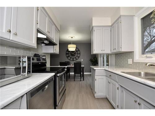 222 Anne Street, Cambridge, ON - Indoor Photo Showing Kitchen With Double Sink