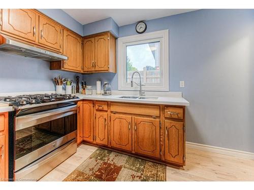 113 Jansen Avenue, Kitchener, ON - Indoor Photo Showing Kitchen With Double Sink