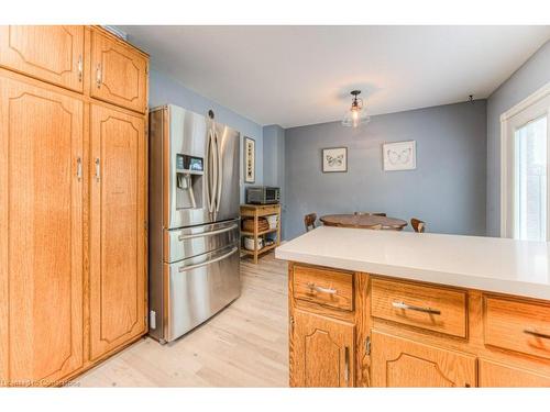 113 Jansen Avenue, Kitchener, ON - Indoor Photo Showing Kitchen