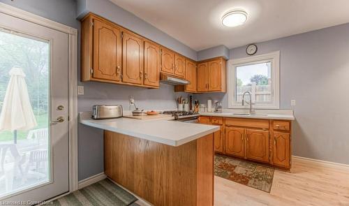 113 Jansen Avenue, Kitchener, ON - Indoor Photo Showing Kitchen