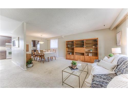 59 Elm Ridge Drive, Kitchener, ON - Indoor Photo Showing Living Room