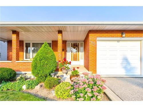 63 Leslie Avenue, Cambridge, ON - Outdoor With Deck Patio Veranda