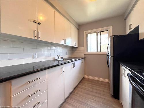 62-75 Old Chicopee Drive, Kitchener, ON - Indoor Photo Showing Kitchen With Double Sink