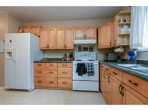 69 Glen Park Crescent, Kitchener, ON - Indoor Photo Showing Kitchen With Double Sink