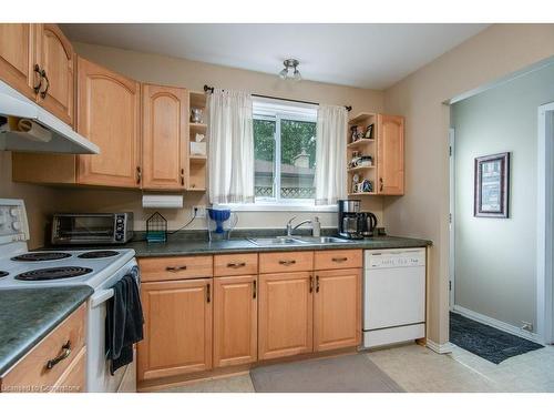 69 Glen Park Crescent, Kitchener, ON - Indoor Photo Showing Kitchen With Double Sink