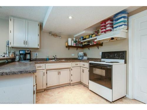 69 Glen Park Crescent, Kitchener, ON - Indoor Photo Showing Kitchen With Double Sink