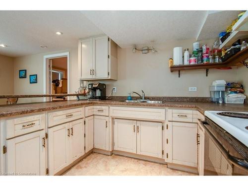 69 Glen Park Crescent, Kitchener, ON - Indoor Photo Showing Kitchen With Double Sink