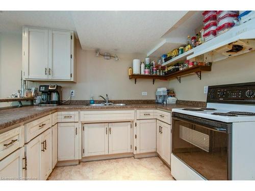 69 Glen Park Crescent, Kitchener, ON - Indoor Photo Showing Kitchen With Double Sink