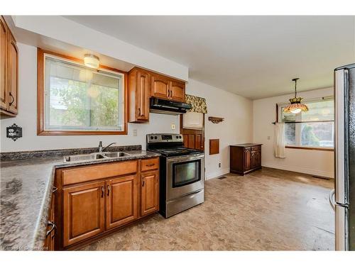 10 Wayne Drive, Kitchener, ON - Indoor Photo Showing Kitchen With Double Sink