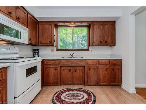 187 Overlea Drive, Kitchener, ON - Indoor Photo Showing Kitchen With Double Sink