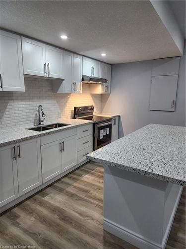 513 Blair Creek Drive, Kitchener, ON - Indoor Photo Showing Kitchen With Double Sink