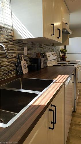 Lower Unit-73 Littlefield Crescent E, Kitchener, ON - Indoor Photo Showing Kitchen With Double Sink