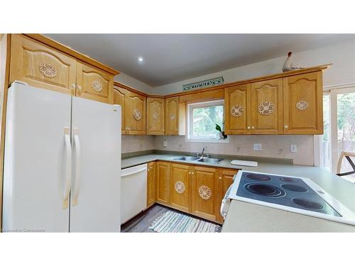 42 Shanley Street, Kitchener, ON - Indoor Photo Showing Kitchen With Double Sink